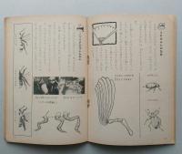 春の理科かんさつブック　昭和36年4年の学習 5月号第1付録　