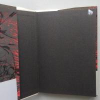 だまってすわれば 観相師・水野南北一代 　