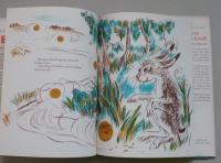 洋書絵本　THE BUN　A Tale from Russia
