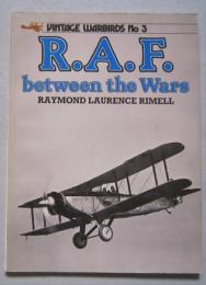 洋書 空軍機写真資料　VINTAGE WARBIRDS No3　R.A.F. between the Wars　RAYMOND LAURENCE RIMELL　　