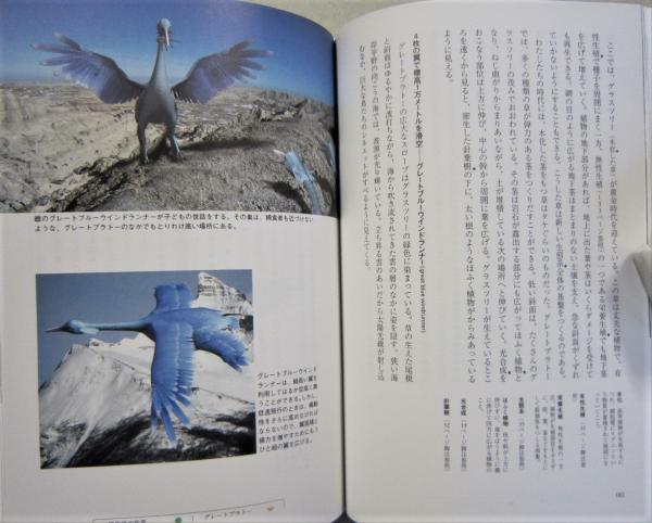 ヒューチャー イズ ワイルド 驚異の進化を遂げた2億年後の生命世界 進化する地球 ドゥーガル ディクソン ジョン アダムス著 松井孝典監修 土屋晶子訳 古書 香文堂 古本 中古本 古書籍の通販は 日本の古本屋 日本の古本屋