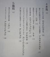 やぶにらみ 鳥たちの博物誌　鳥とりどりの生活と文化　