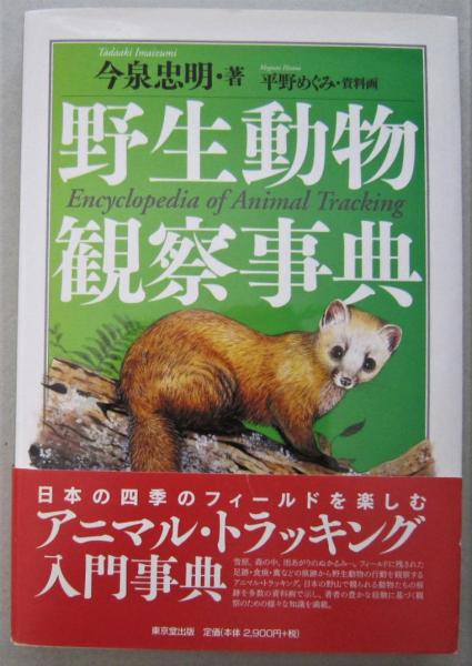 野生動物観察事典 今泉忠明 著 平野めぐみ 資料画 古本 中古本 古書籍の通販は 日本の古本屋 日本の古本屋