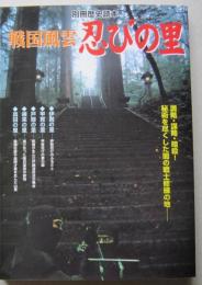 戦国風雲忍びの里　別冊歴史読本　伊賀 甲賀 戸隠 根来 真田 忍びの発生 忍術の諸流と秘伝書