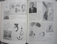Japanese 国内版 VOL19