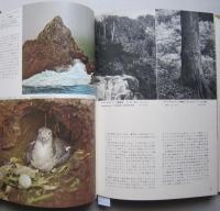原色日本野鳥生態図鑑 Vol.2　　