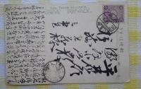 秋田市千秋公園の花　絵葉書　エンタイア