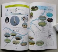 ふるさとの川　雄物川　小学校副読本　