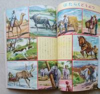 こども科学館17　いえでかうどうぶつ　【犬のいろいろ 馬と日本人のくらし うさぎのかい方】