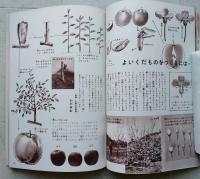 こども科学館18　くだものとやさい　【くだものの一年 かんづめのできるまで やさいのしゅんとえいよう】