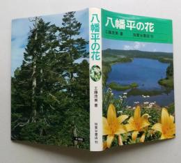 八幡平の花　【画像4枚掲載】