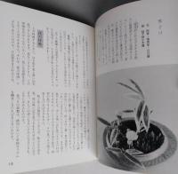 小品花入門　　保育社カラーブックス　