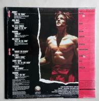 レコード30LP　ビジョン・クエスト　オリジナルサウンドトラック　12インチ (30cm)　 【画像4枚掲載】　