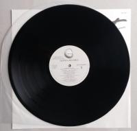 レコード30LP　ビジョン・クエスト　オリジナルサウンドトラック　12インチ (30cm)　 【画像4枚掲載】　