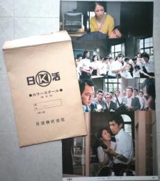 カラースチール8枚 日活作品「高校大パニック」山本茂/浅野温子