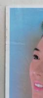 映画パンフ　しのぶの明日　上野英隆・監督／紺野美沙子 勝野洋・出演　【画像5枚掲載】