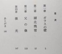 ガラスの壁　【画像4枚掲載】　
