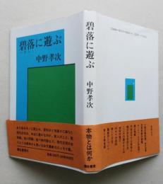 碧落に遊ぶ　【画像4枚掲載】　