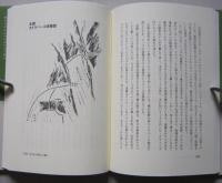 マッターホルン北壁　日本人冬期初登攀　【画像6枚掲載】
