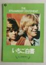 映画パンフ　いちご白書　ブルース・デービソン/キム・ダービー 出演　　