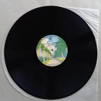 LP James Taylor ジェイムス・テイラー／ マッド・スライド・スリム　 WB  P-8082W 帯付　
