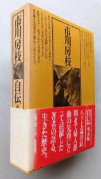 市川房枝自伝　戦前編