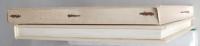 現代書の実情と展開　ヨーロッパへ行く書と人