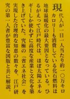 大江戸省エネ事情　講談社文庫　