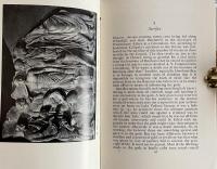 The Romans and Their Gods: In the Age of Augustus (Ancient Culture and Society Series)