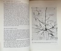 Programs of the Brain: Based on the Gifford Lectures, 1975–7