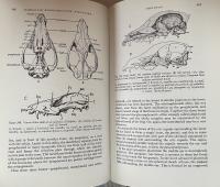 Structure and Habit in Vertebrate Evolution（Biology Series)