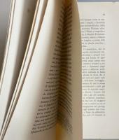 Poesia Antica e Moderna: Interpretazioni