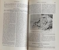 Classic Descriptions of Disease: With Biographical Sketches of the Authors