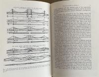 Patterns of Intention: On the Historical Explanation of Pictures