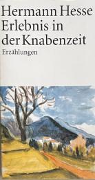Erlebnis in der Knabenzeit: Sämtliche Erzählungen 1899-1902 