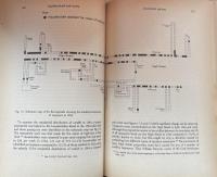 Neighbourhood and Society: A London Suburb in the Seventeenth Century (Cambridge Studies in Population, Economy and Society in Past Time, 5)