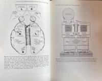 The Human Psyche: The Gifford Lectures, University of Edinburgh, 1978–1979