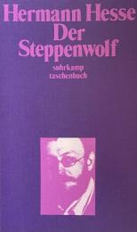 Der Steppenwolf. Erzählung