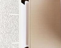 To the Lighthouse: The Marriage of Life and Art (Twayne’s Masterwork Studies)