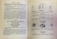 Enciclopedia Yucatanense. Complete Set of Twelve Volumes (I–XII). Official Government Edition, 1977–1981