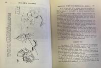 Enciclopedia Yucatanense. Complete Set of Twelve Volumes (I–XII). Official Government Edition, 1977–1981