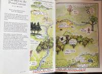 The House at Pooh Corner