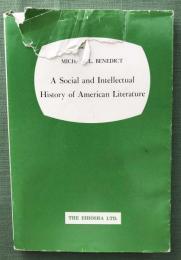 A Social and Intellectual History of American Literature