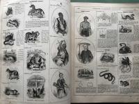 An American Dictionary of the English Language; containing the whole vocabulary of the first edition in two volumes quarto; the entire corrections and improvements of the second edition in two volumes royal octavo; to which is prefixed An Introductory Dissertation on the origin, history , and of the Languages of Western Asia and Europe, with an explanation of the principles on which Languages are formed.