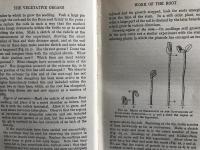 The Study of Plants  An introduction to Botany and Plant ecology