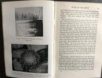 The Study of Plants  An introduction to Botany and Plant ecology