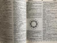Webster's New Ideal Dictionary