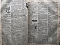 Webster's New International Dictionary 
Based on the International Dictionary of 1890 and 1900. Now completely revised in all departments including also a dictionary of geography and biography, being the latest authentic quarto edition of the Merriam series