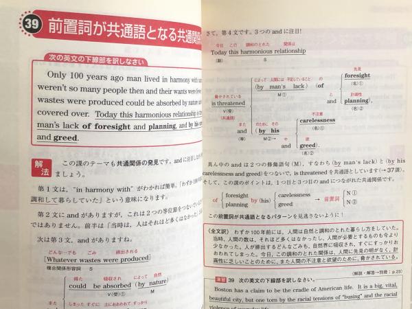 基礎英文解釈の技術100 (大学受験スーパーゼミ徹底攻略)(杉野隆/桑原信 ...