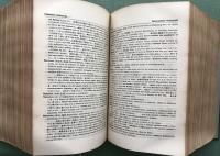 Saito's Japanese -English Dictionary 和英大辞典